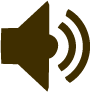 Ses